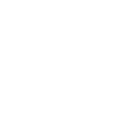 audi logo 4
